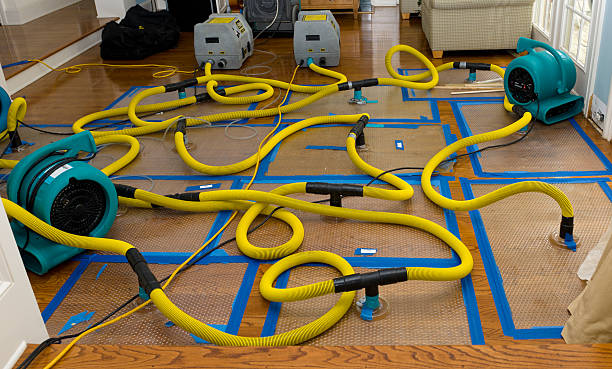 Professional Basement Flood Cleanup technician working in Richland, PA